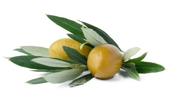 Blutforde contiene estratto di foglie di olivo
